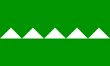 Salinas Flag