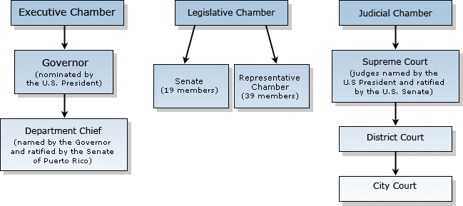 Jones Law Org Chart 