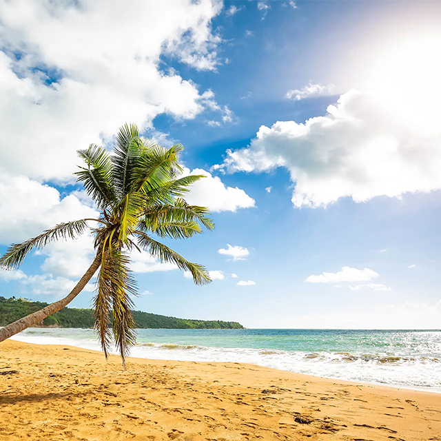 Flamenco Beach