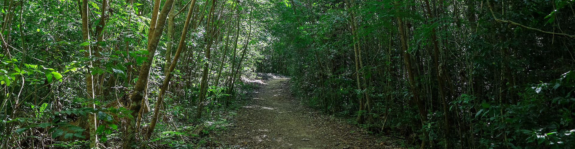 Cabezas de San Juan Nature Reserve, Fajardo Cabezas de San Juan Nature Reserve, Fajardo