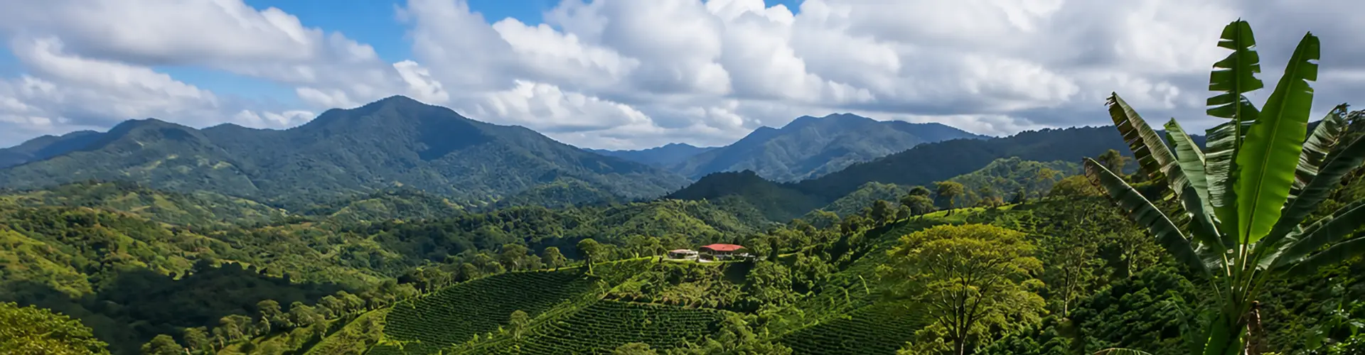 Puerto Rican Mountains