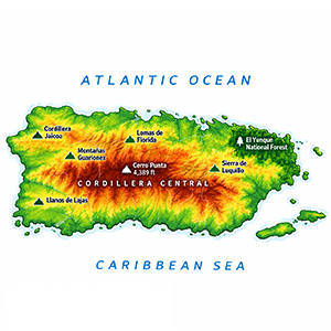 Topographical map