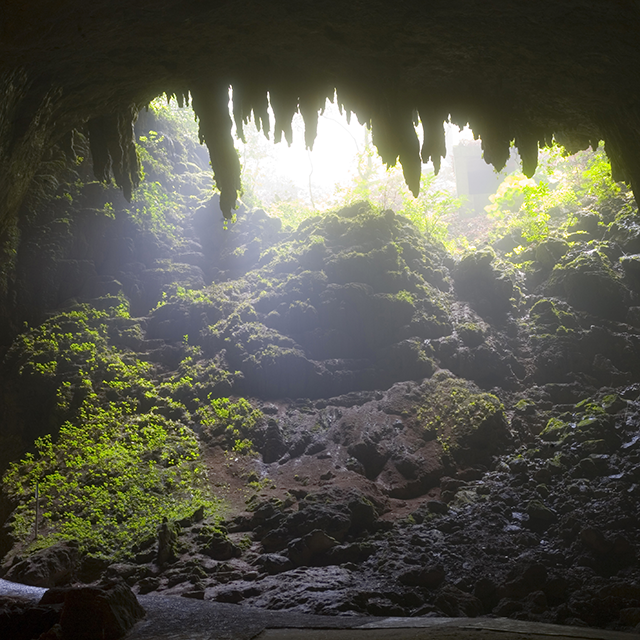 Camuy Caverns