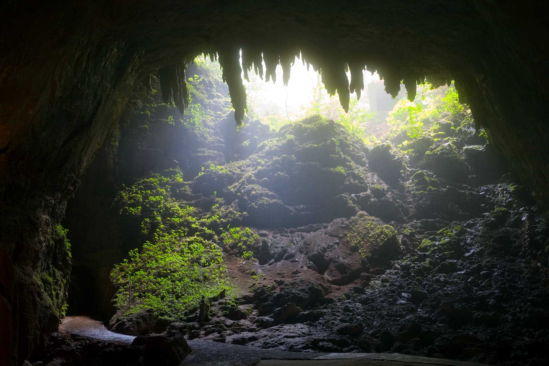 Caves limestone camuy caverns grenadines cave