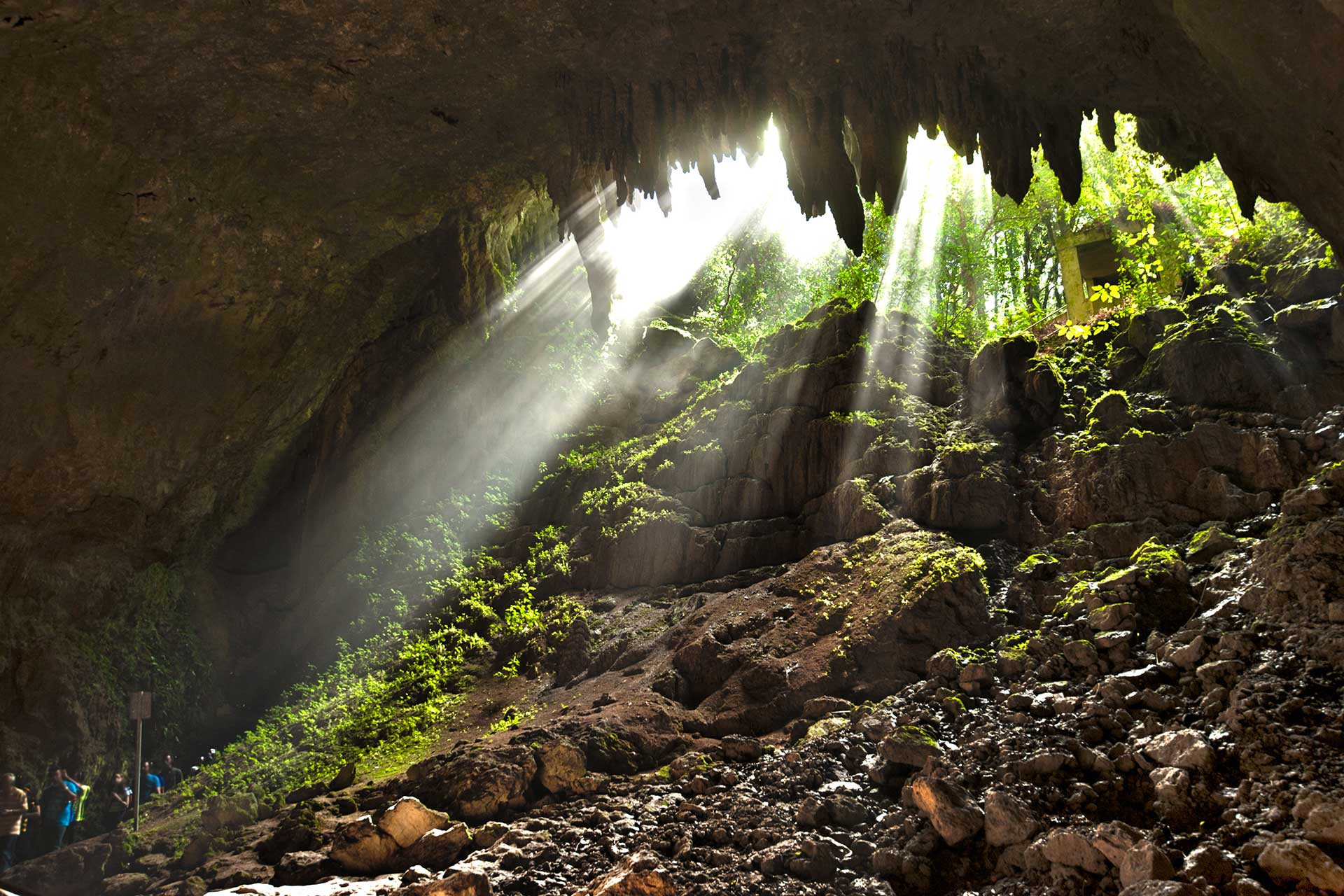 Camuy Caves Tours