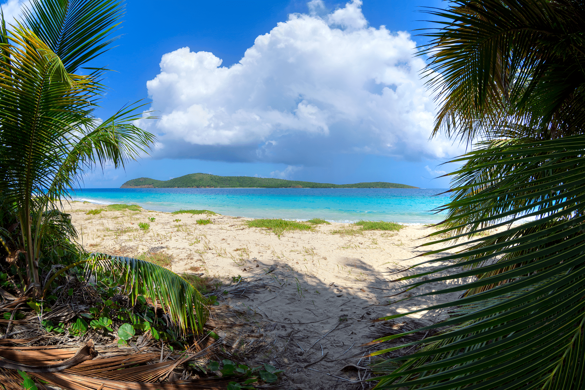 Culebra Puerto Rico