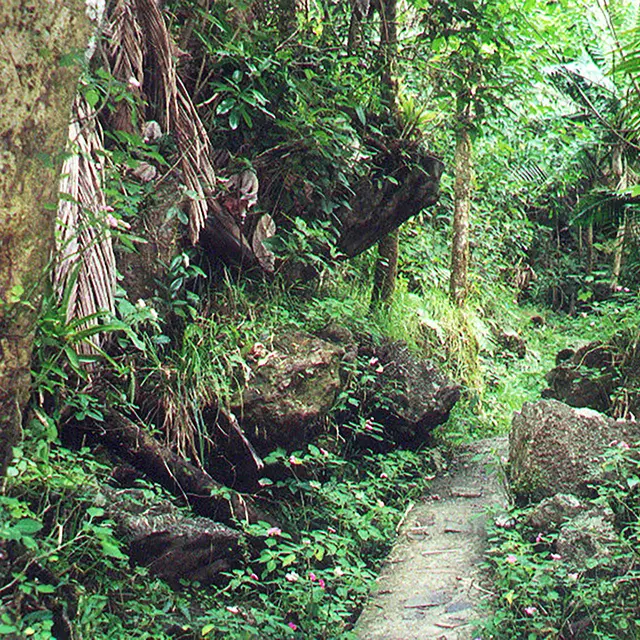 El Yunque, Photo: Maria Ximena Hernandez
