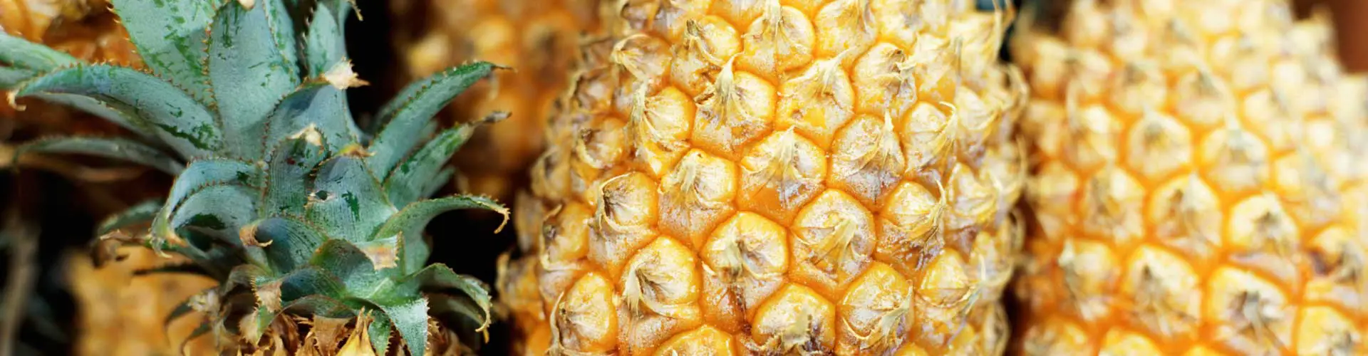 Pineapples