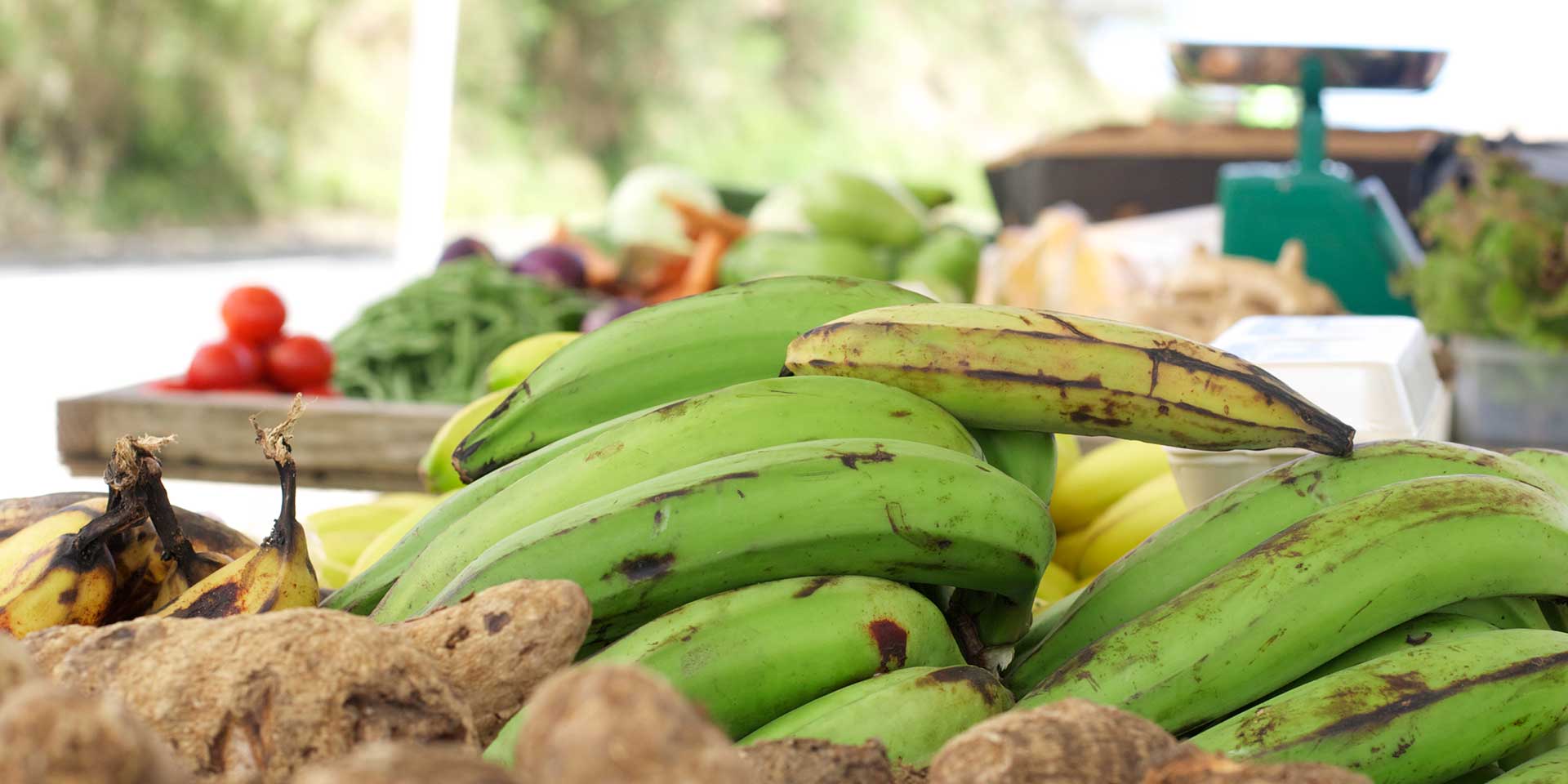 Puerto Rican Cuisine