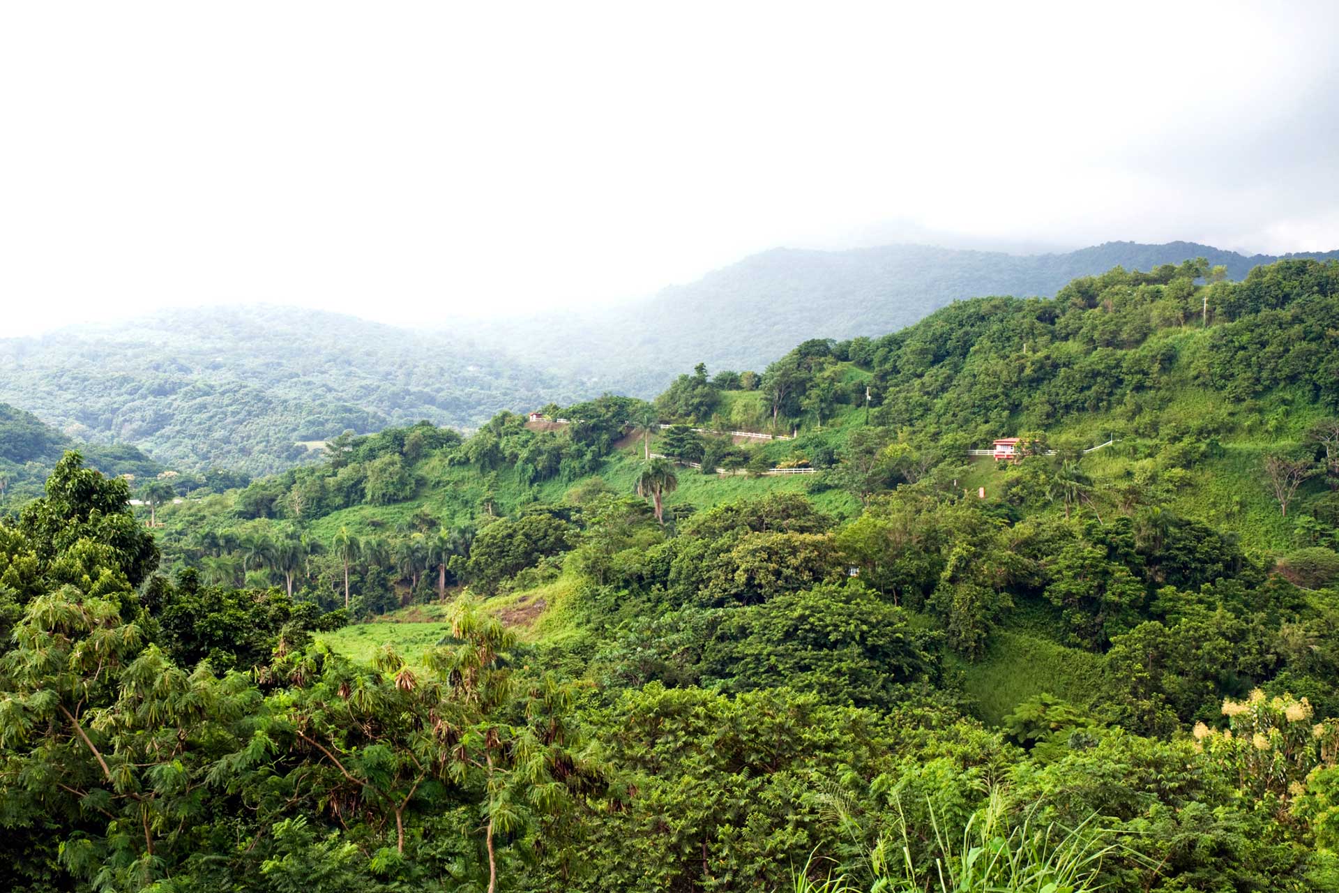 El Yunque