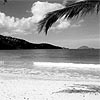 The Beaches