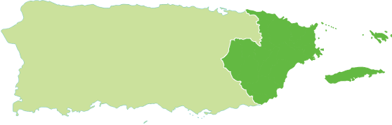 East Region
