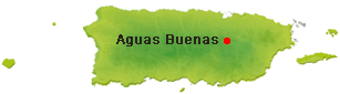 Location of Aguas Buenas