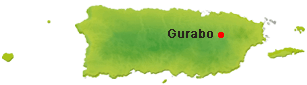 Location of Gurabo