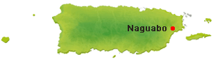 Location of Naguabo