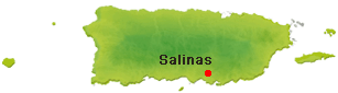 Salinas Puerto Rico Map Salinas, Puerto Rico